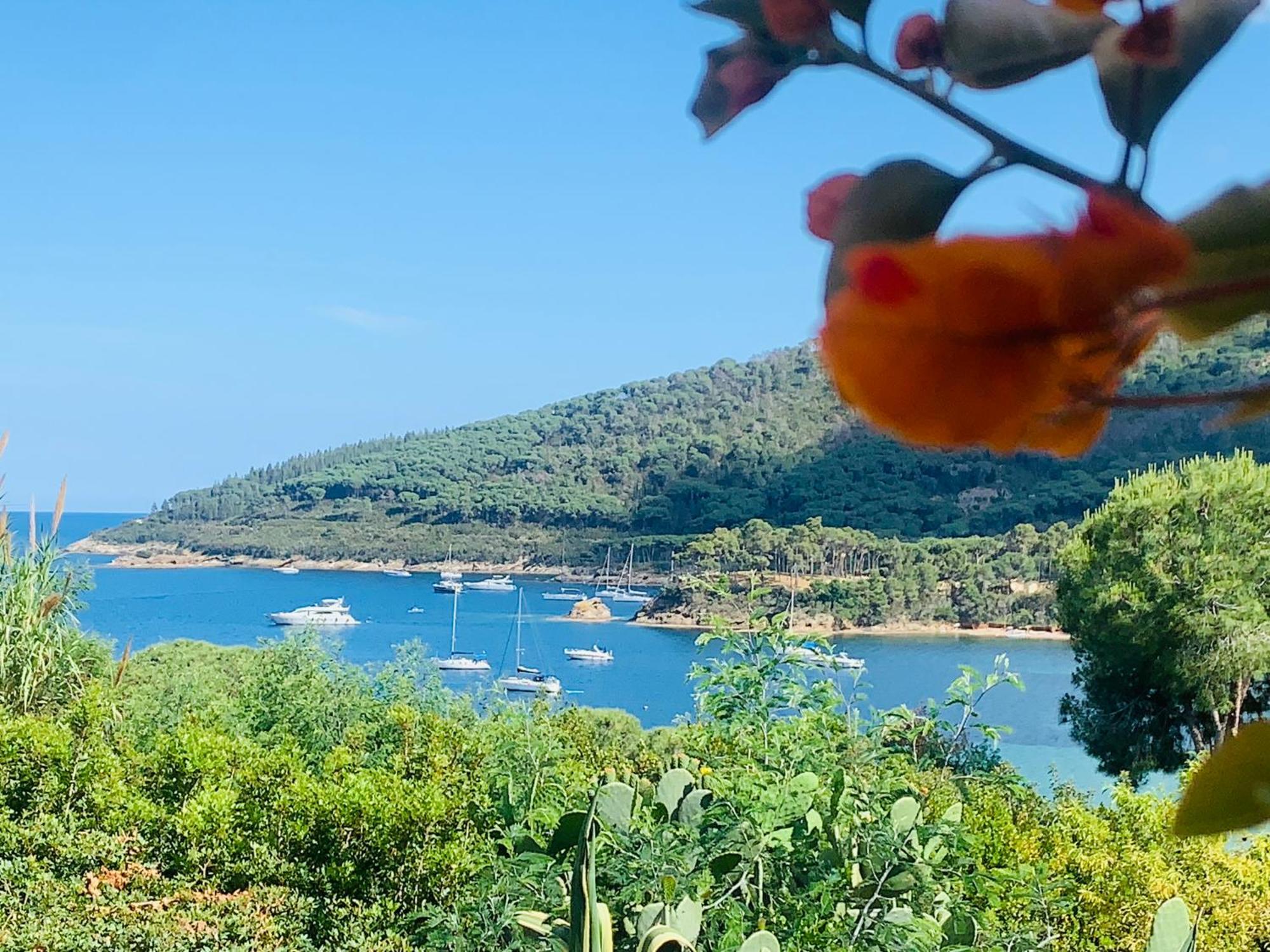 Case Dei Limoni Sul Mare Capoliveri  Exterior foto